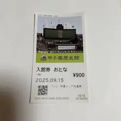 阪神 野球