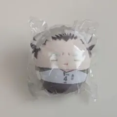 ハイキュー!! 木兎光太郎 くじメイト D賞 ふわコロりん