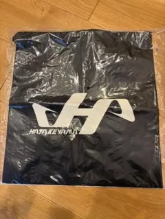 Item thumbnail for item d6e5559d-d31b-432c-8974-f7e000182971