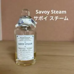 2026年最新】SAVOY steamの人気アイテム - メルカリ