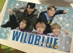 WILD BLUE わぶっていきましょう　ランダム トレカ風 ステッカー