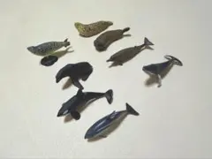 チョコエッグ　海の哺乳類