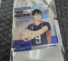アオのハコ 12巻 ゼブラック 当選品 アクリルキーホルダー 100名限定