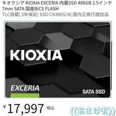 【おまけ有】KIOXIA SSD 480GB