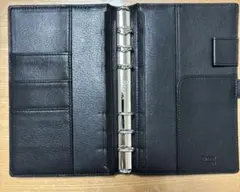 Item thumbnail for item 30683a25-ac86-48ce-8529-dca393610e23