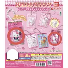 ハローキティ パッケージミニチュアコレクション 2種まとめ売り
