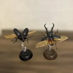 カブトムシ・クワガタ　フィギュア　2点セット！