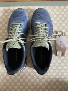 Item thumbnail for item 6f35db3b-3ae7-40f5-bb40-42b8359f4adb