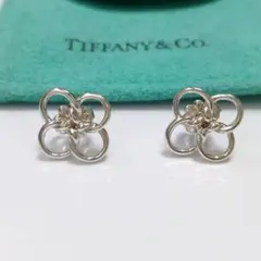 2025年最新】TIFFANY レディース ピアス(両耳用)の人気アイテム - メルカリ