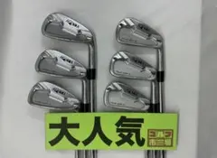 （レア）ミズノプロ　221 7本セット プロジェクトX 6.0 カスタム レア）ミズノプロ 221 7本セット プロジェクトX 6.0 カスタム