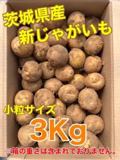 ❣️特別価格❣️茨城県産　新じゃがいも　3Kg　小粒サイズのサムネイル