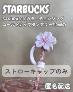 aroma様 リクエスト 2点 まとめ商品