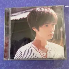 川本真琴