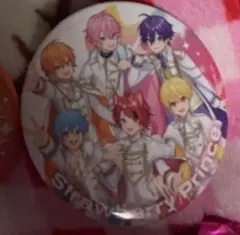 すとふぇす　すとぷり　全員　集合　缶バッジ　STPR デフォルメ　デフォ