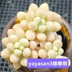 yayasan3様 リクエスト 4点 まとめ商品