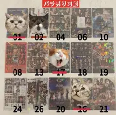 【バラ売可】RIZIN ポテトスティック　ポスターカードコレクション　メタリック