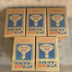 HATAYA リフレクターランプ 500W 投光器用　5球
