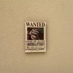 ONE PIECE ワンピース　キャラマグネッツ　マーシャル・D・ティーチ