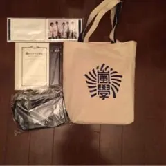 嵐 ワクワク学校 2012グッズ