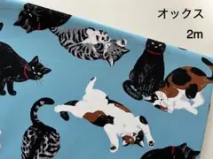 サボテン様 リクエスト 2点 まとめ商品