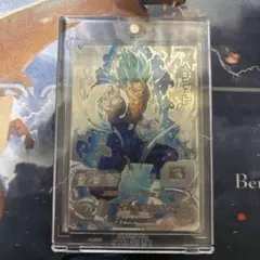 2025年最新】Lc ベジットの人気アイテム - メルカリ