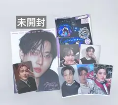 StrayKids KARMA FANS ラキドロ チャンビン