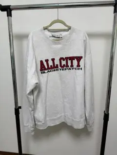 Item thumbnail for item ce73f26f-31d7-4921-9bd9-2b95d85d738b