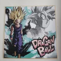 ジャンプフェスタ サイン色紙 ドラゴンボール とよたろう 鳥山明