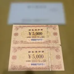 早稲田アカデミー 株主優待券 10,000円