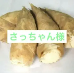 さっちゃん様　京都山城産　朝掘り筍訳あり3kg南東北クール便