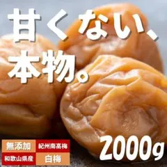小梅干し 訳あり 昔ながらの梅干し 2kg 塩分約20% 無添加 紀州小梅