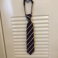 Item thumbnail for item 690dfada-de6f-43b2-a6d0-aaaa8452523e