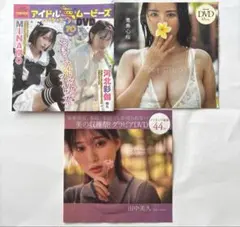 未開封品ヤングチャンピオン、FLASH 、週刊プレイボーイ付録DVD 3枚セット