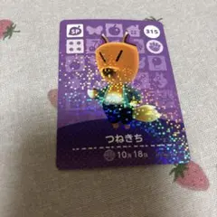 あつまれどうぶつの森 amiiboカード つねきち 315 - メルカリ