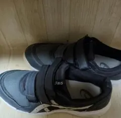 Item thumbnail for item 57369146-732e-40e2-922a-40bd95d70f22