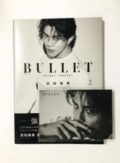 武知海青「BULLET」ポストカード付き