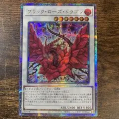 ブラック・ローズ・ドラゴン ★ 25th クオシク