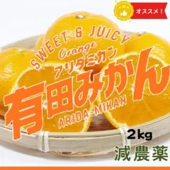☆人気！訳あり 減農薬 有田みかん 2kg 送料無料 甘い0501