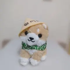 美品　白川郷限定 柴犬 ぬいぐるみ