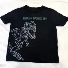 い*お様 110cm 半袖Tシャツ 恐竜柄 GAP