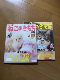 ねこのきもち 2017年3月号・4月号 2冊セット