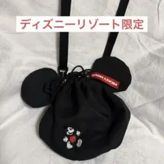 未使用に近い♥️ディズニーリゾート ミッキー刺繍 ショルダーバッグ 耳付き