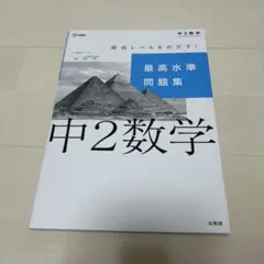 最高水準問題集 中2数学