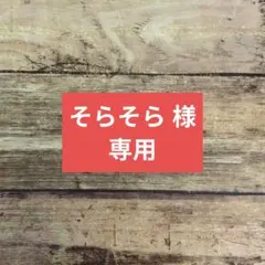 そらそら様　専用ページです☆