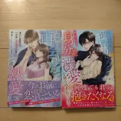 HOLLY NOVELS 箱の中 & 檻の外 2冊セット 木原音瀬 - メルカリ