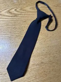 Item thumbnail for item 192f7889-31cf-4f22-98bc-e3a9607fd1ef