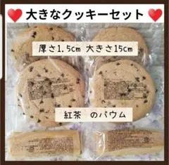 Item thumbnail for item 2190b1f8-33c7-4d99-8a72-b688055e94aa