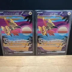 カプ・コケコex SAR レイジングサーフ 2枚