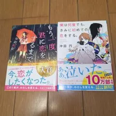 僕は何度でも、きみに初めての恋をする。 沖田円