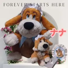 ディズニーストア ピーターパン ナナ ぬいぐるみリュック、キーチェーン
